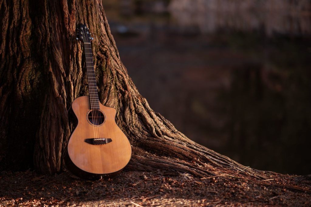 instrument-guitare-acoustique-apprendre