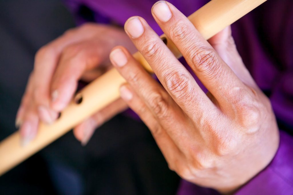 instrument-sodina-description