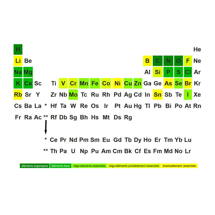 mineraux