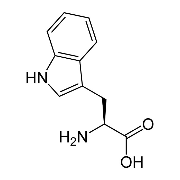 proteines-animales