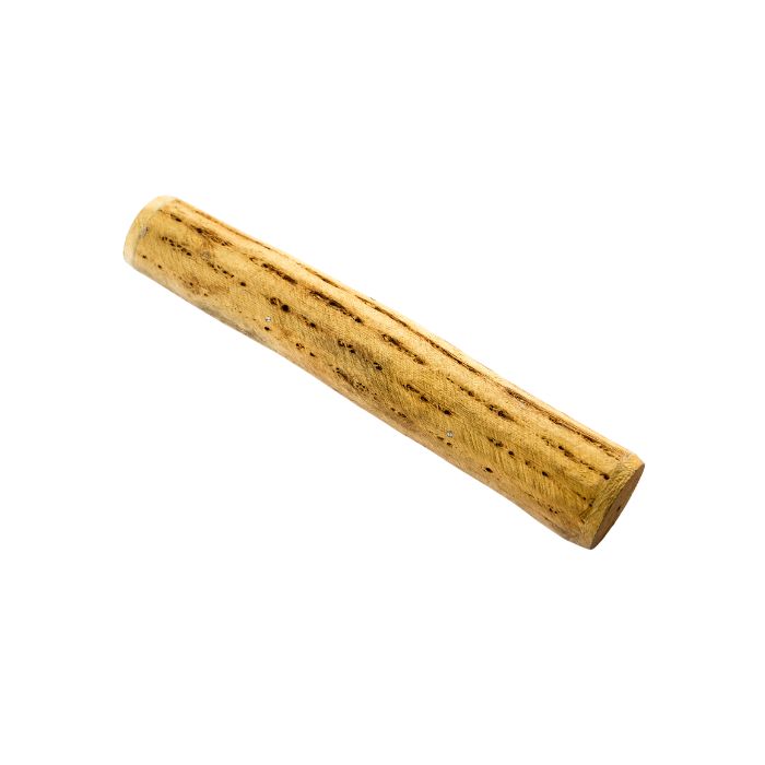 instrument-Rainstick