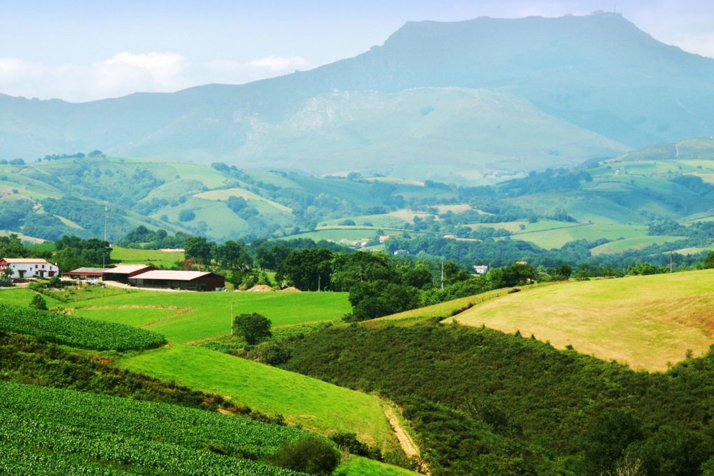 instrument-Txalaparta-apprendre