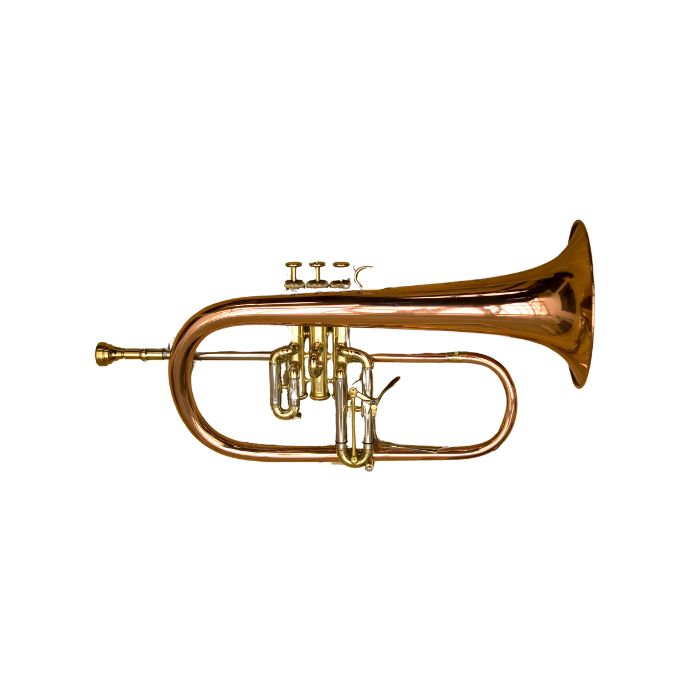 Cornet a pistons Guide des Instruments de Musique de A a Z Musicotherapie France Mineraux