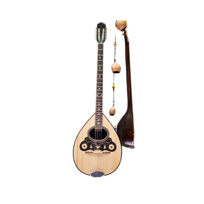 instrument-Bouzouki-electro-acoustique