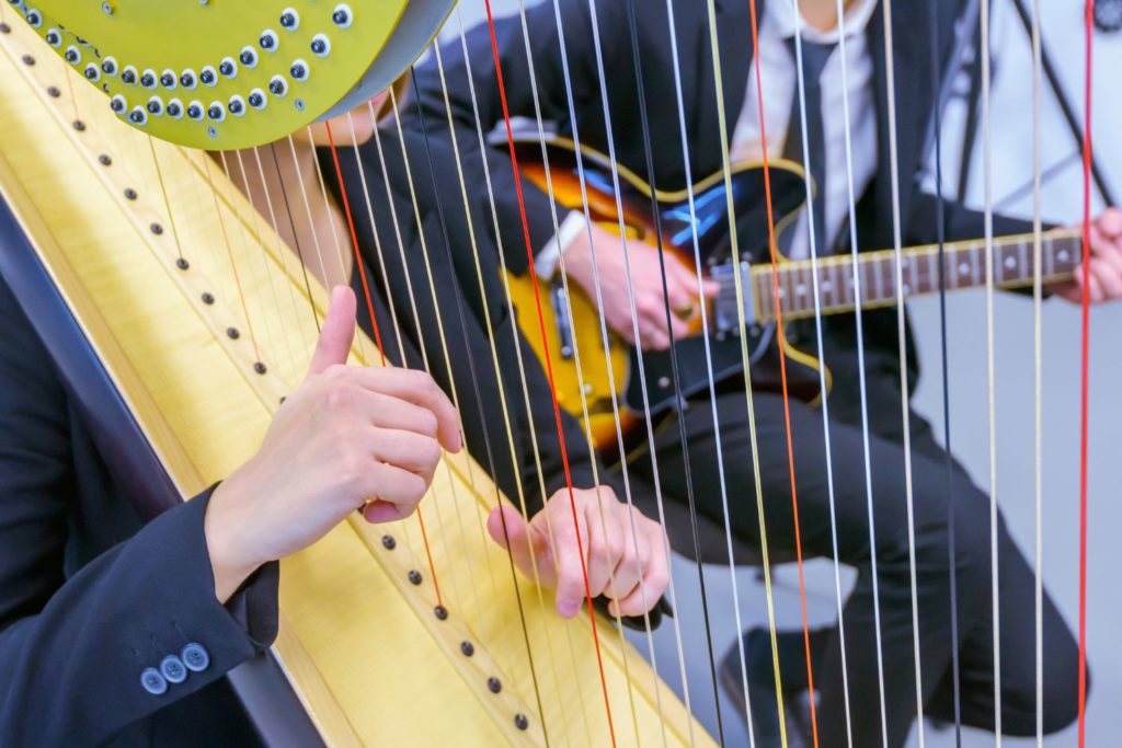 instrument-Harpe-electrique-description