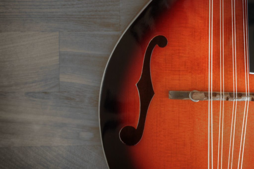 instrument-Mandoline-electrique-apprendre