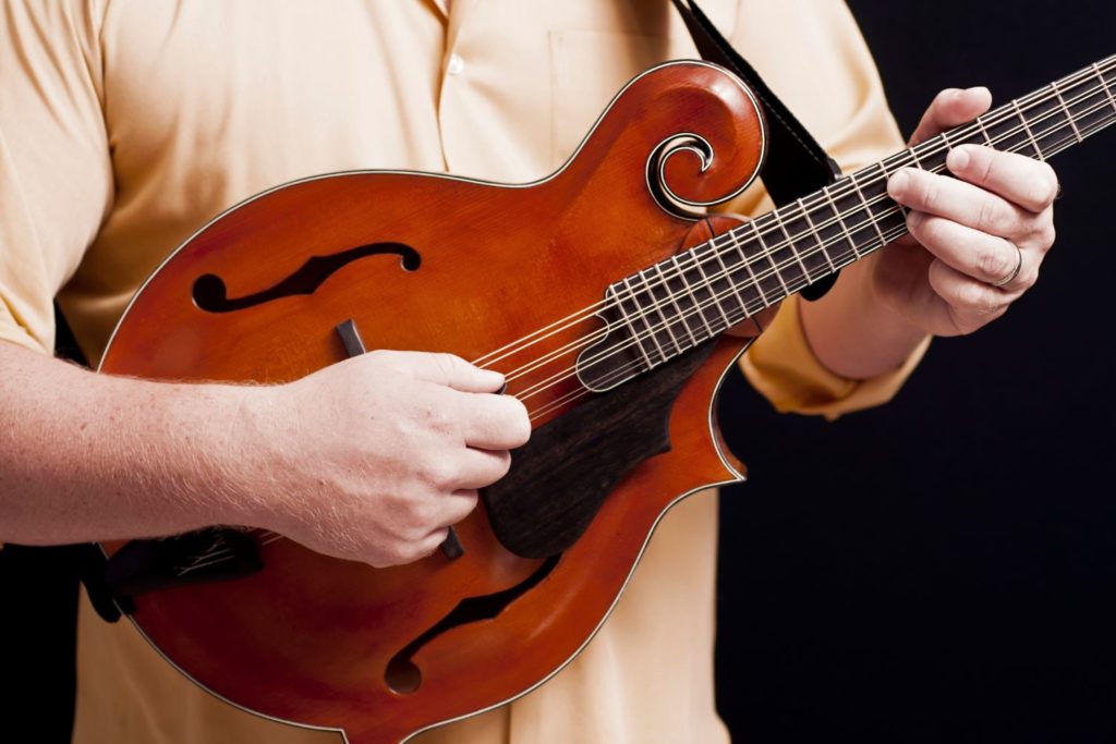 instrument-Mandoline-electrique-description