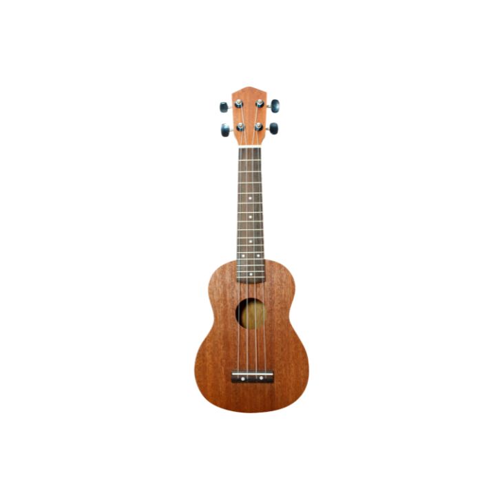 instrument-Ukulele-electro-acoustique