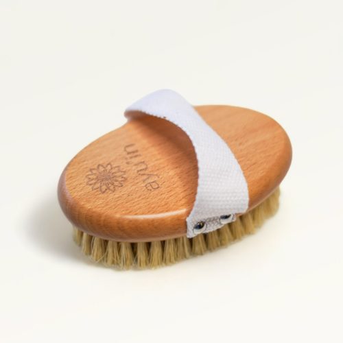 Brosse brossage à sec