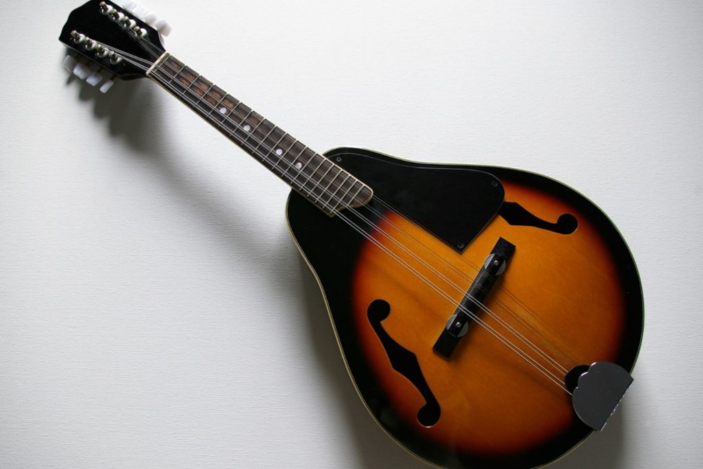 instrument-Mandole-tenor-alto-description