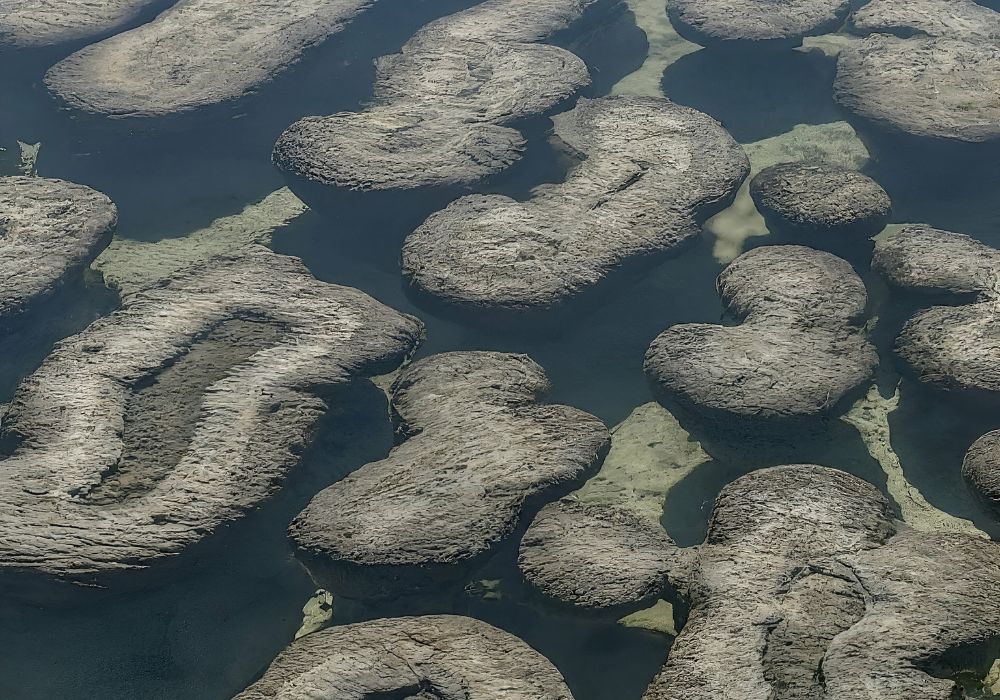 Propriétés spirituelles de la strombolite — pierre noire volcanique de transformation et de pouvoir personnel