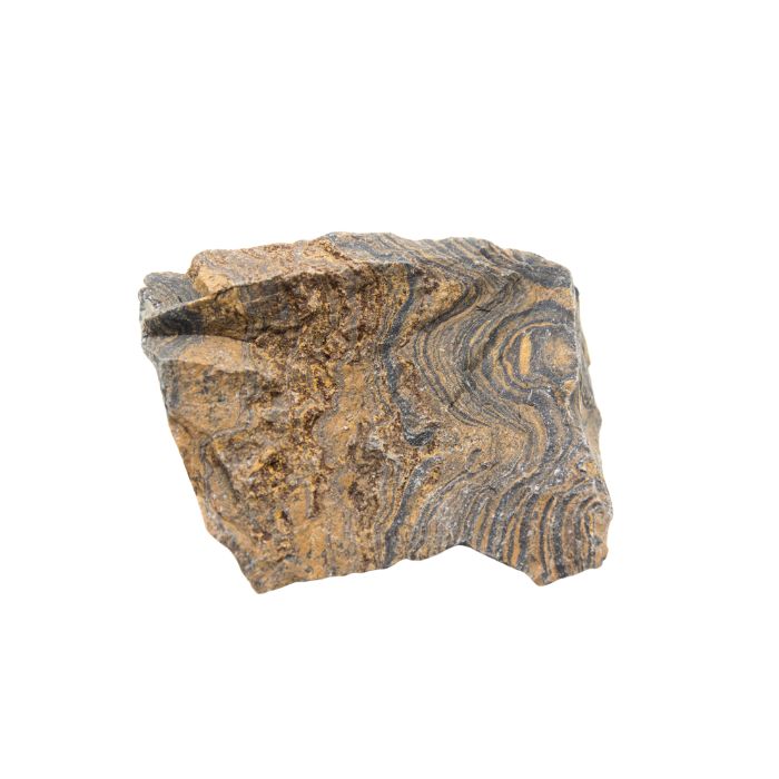 pierre-strombolite