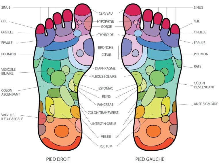 Carte des Zones Réflexes du Pied en Réflexologie Plantaire France — free download