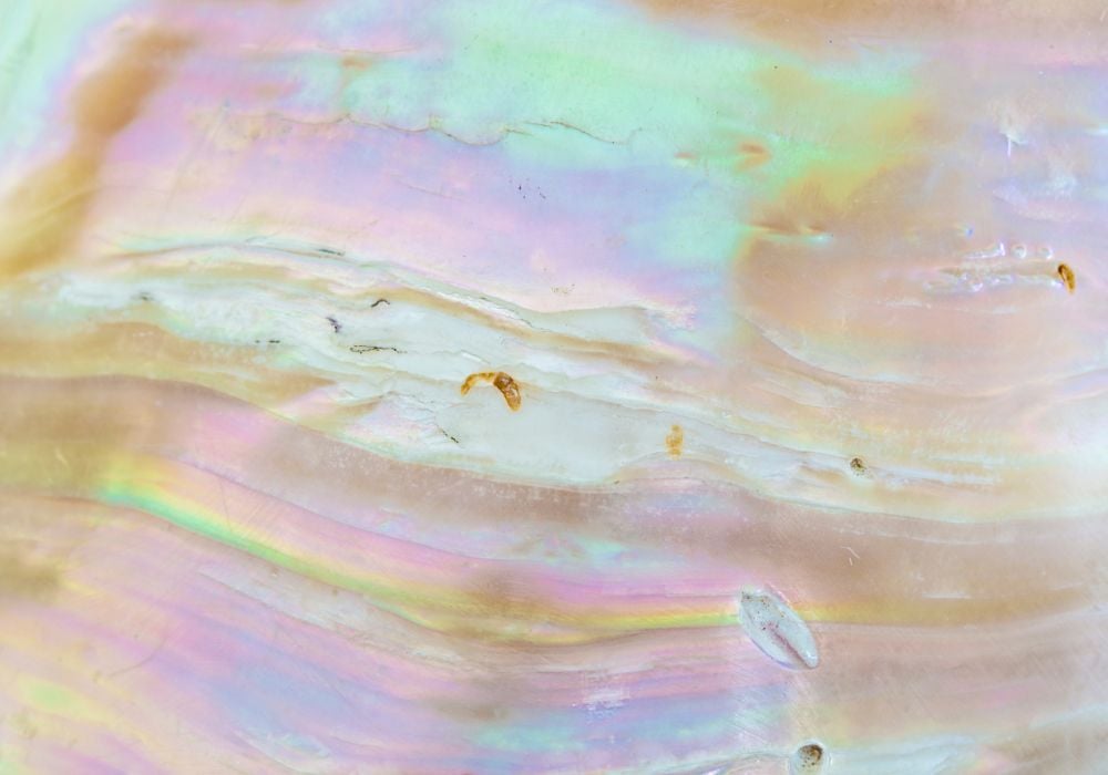 Histoire de la pierre Nacre Abalone — coquille d'ormeau aux reflets iridescents utilisée depuis l'Antiquité dans les rituels polynésiens et amérindiens