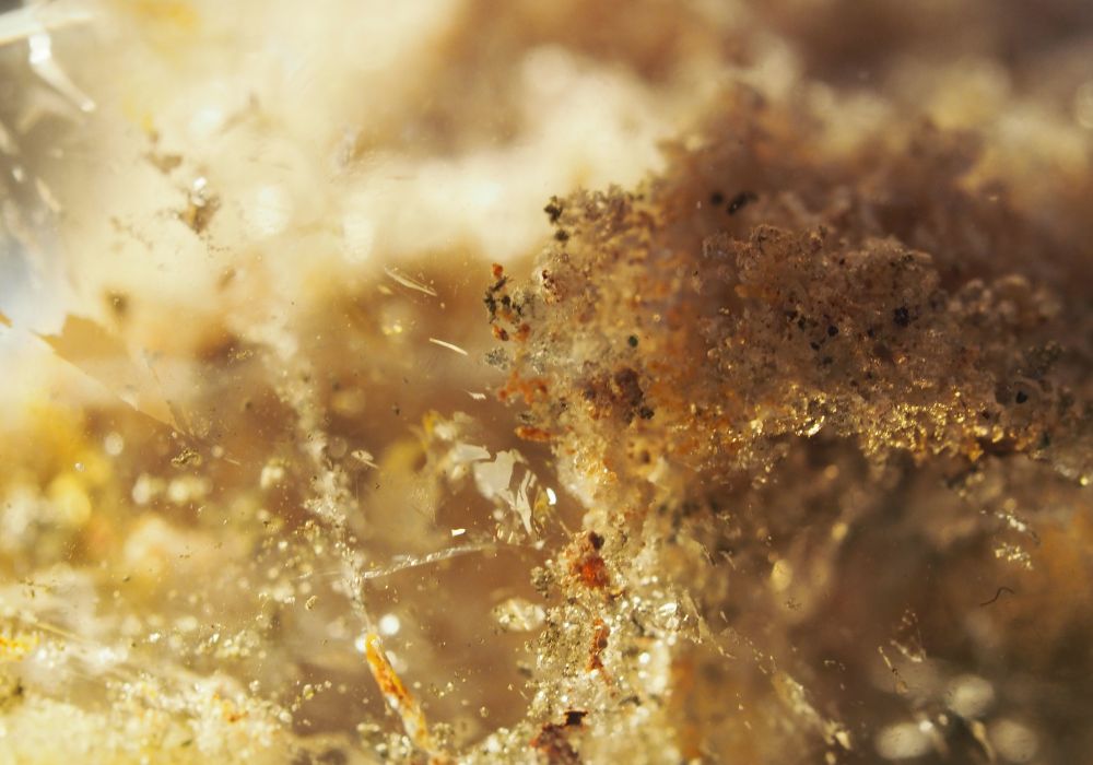 Histoire du quartz lodolite — quartz jardin à inclusions de chlorite et hématite utilisé par les chamans pour les voyages spirituels