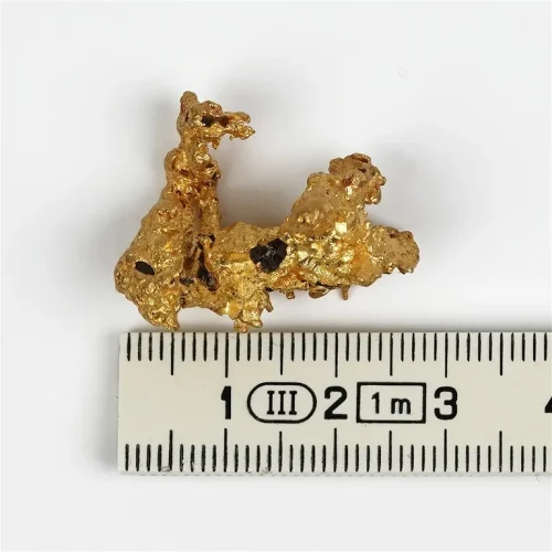 pepite-d-or-20-8grs-02