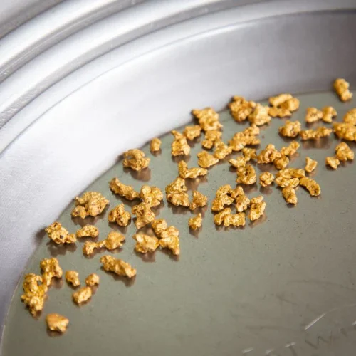 pepite-d-or-5grs-02