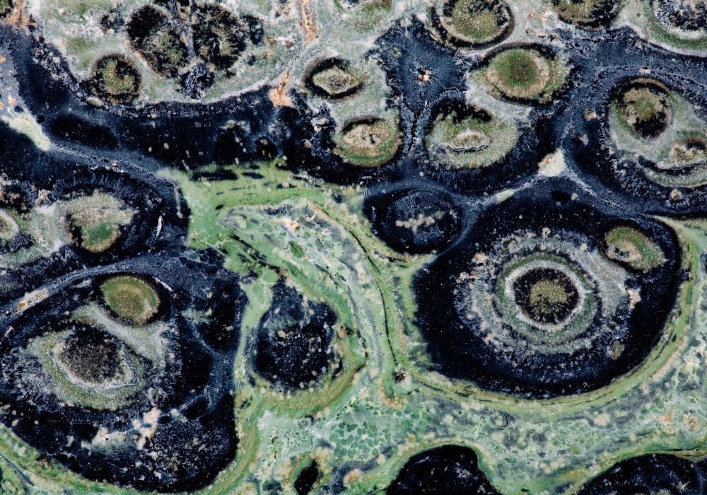 Jaspe Kambaba Madagascar Afrique du Sud géologie minéralogie stromatolites fossiles