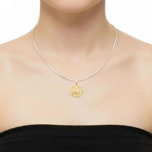 27696001-pendentif-verseau-signe-astrologique-1-plaque-or