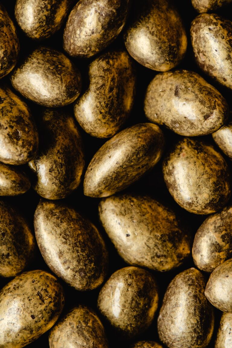 Amandes et galets enrobés de chocolat