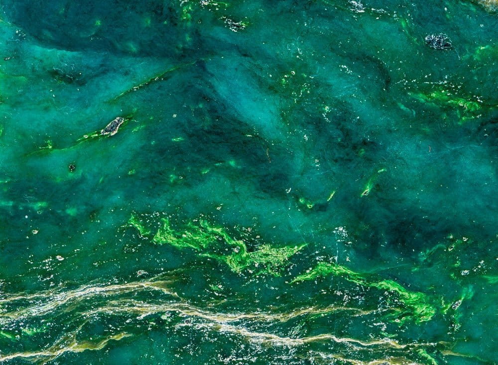 Pierre jade naturelle — vertus et bienfaits en lithothérapie